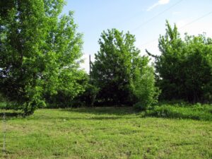 Церковь Благовещения Пресвятой Богородицы в Заулье