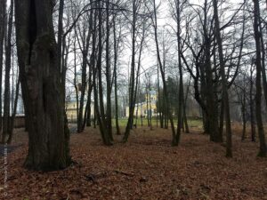 Спасо-Преображенский Антониево-Леохновский мужской монастырь